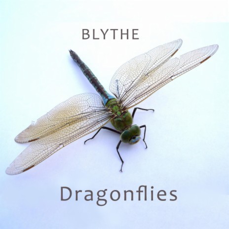 Dragonflies | Boomplay Music