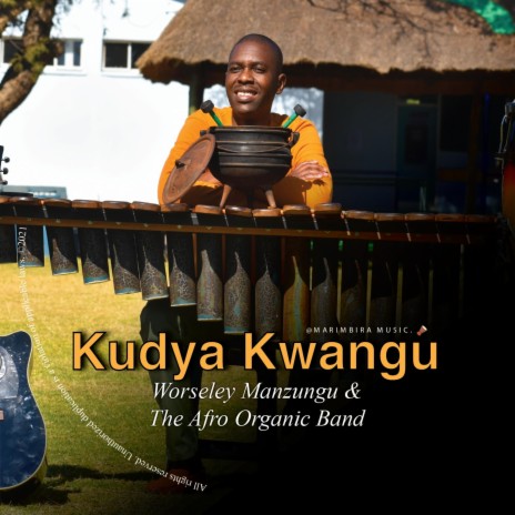 Kudya Kwangu | Boomplay Music