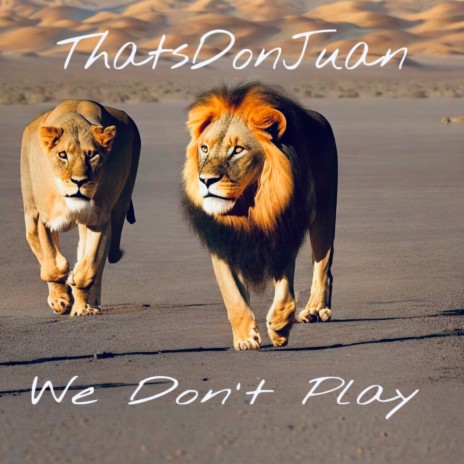 We Don't Play | Boomplay Music