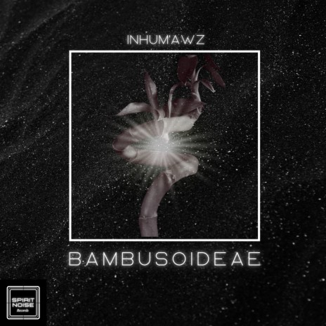 Bambusoideae | Boomplay Music