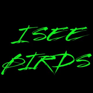 I SEE BIRDS Beat Pack (Hip Hop Instrumental)