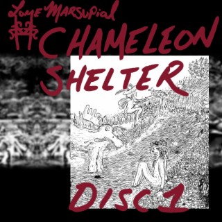 Chameleon Shelter (Disc One)