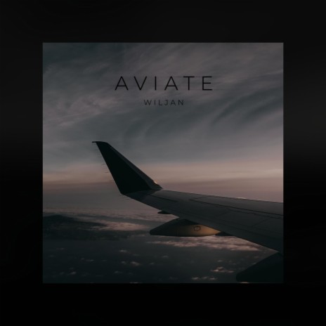 Aviate | Boomplay Music