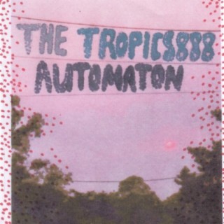 Automaton