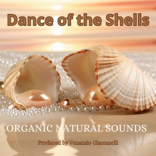 Dance of the Shells