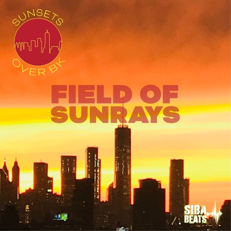 Fields Of Sunrays | Boomplay Music