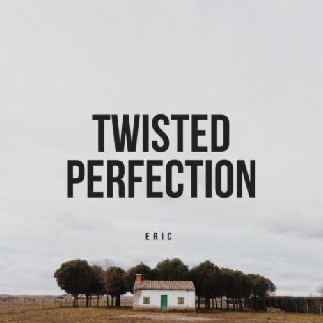 Twisted Perfection | Boomplay Music