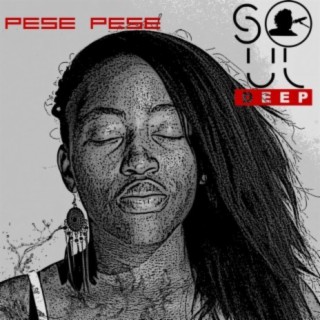 SoulDeep Zim