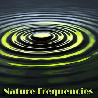 Healing Earth: Relaxing Nature Frequencies for Spa Therapy