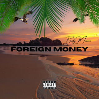 Foreign Money