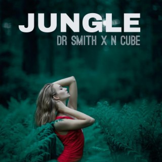 Jungle (Radio Edit)