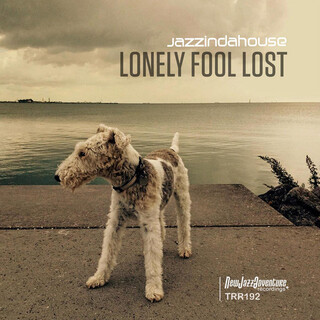 Lonely Fool Lost