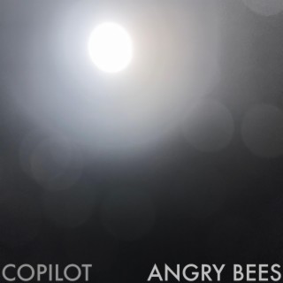 Angry Bees