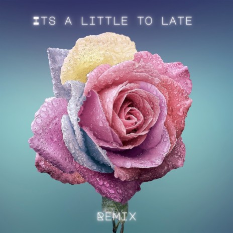 Its a Little Too Late (Remix) ft. Scallywag van Rooyen | Boomplay Music