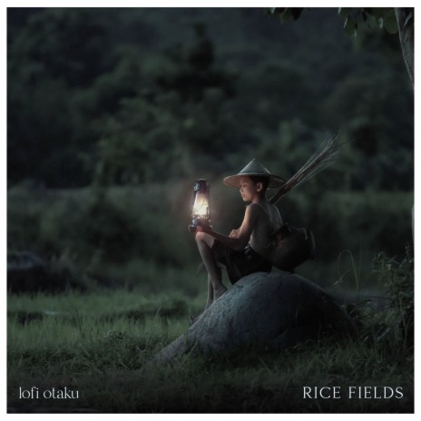 Rice Fields | Boomplay Music