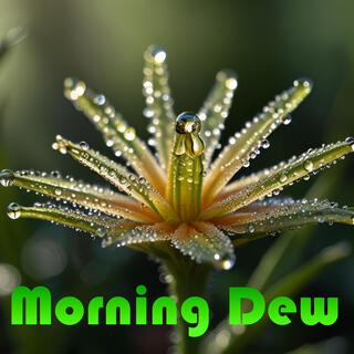 Morning Dew