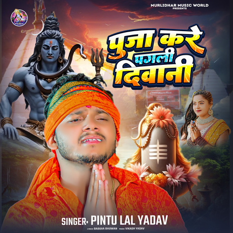 Puja Kare Pagali Deewani | Boomplay Music