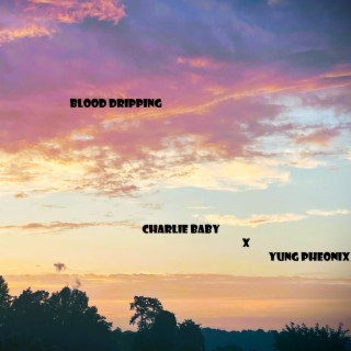 Dripping Blood ft. Yung Phoenix lyrics | Boomplay Music