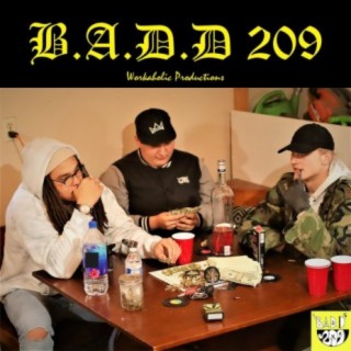 B.A.D.D 209