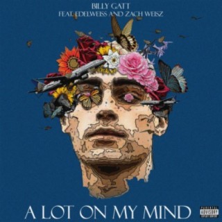 A lot on my mind (feat. Edelweiss & Zach Weisz)