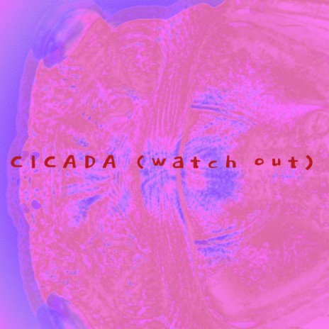 CICADA (watch out) | Boomplay Music