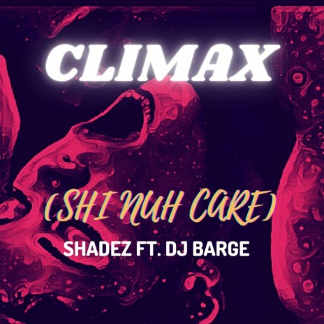 Climax (Shi Nuh Care) (Radio Edit) [feat. DJ Barge] | Boomplay Music