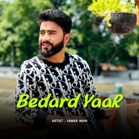 Bedard Yaar | Boomplay Music