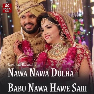 Nawa Nawa Dulha Babu Nawa Hawe Sari