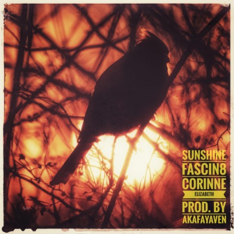 Sunshine (feat. Corinne Elizabeth) | Boomplay Music