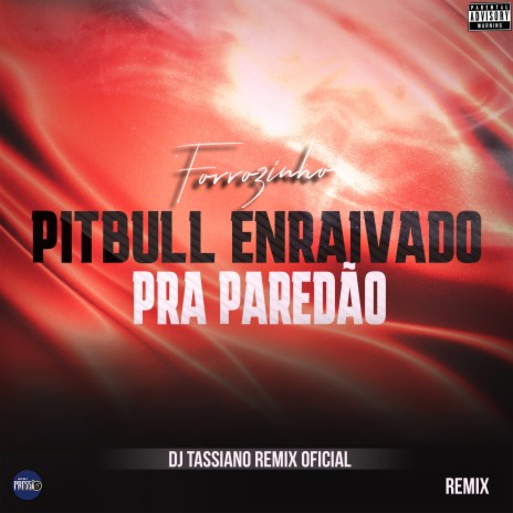 Forrozinho Pitbull Enraivado pra Paredão | Boomplay Music