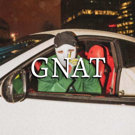 GNAT | Boomplay Music