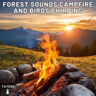 Forest Sounds Campfire and Birds Chirping Morning Camping 1 Hour Relaxing Nature Ambient Yoga Meditation Sounds For Sleeping Relaxation or Studying