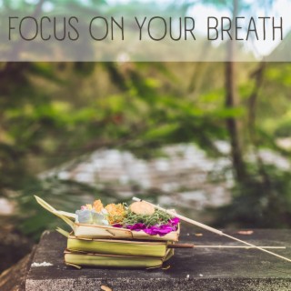 Focus on Your Breath