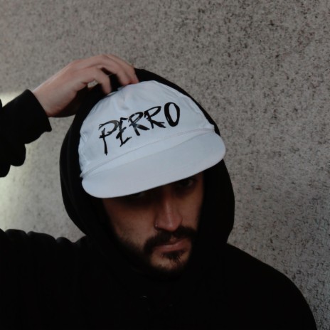 PERRO | Boomplay Music