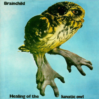 Healing Of The Lunatic Owl