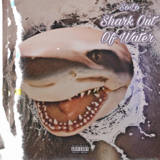 Shark Out Of Water