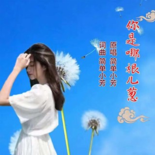 你是哪根儿葱 lyrics | Boomplay Music