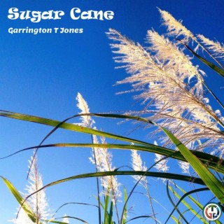 Sugar Cane lyrics | Boomplay Music