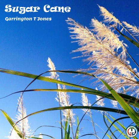 Sugar Cane