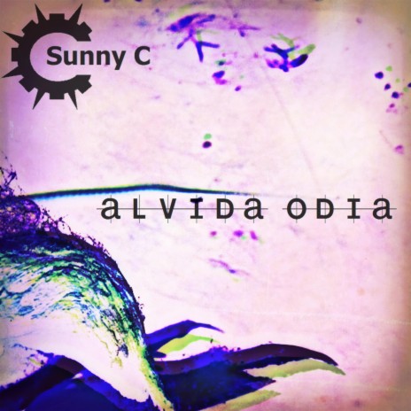 Alvida Odia | Boomplay Music