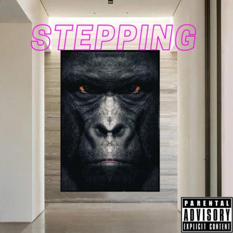 Stepping | Boomplay Music