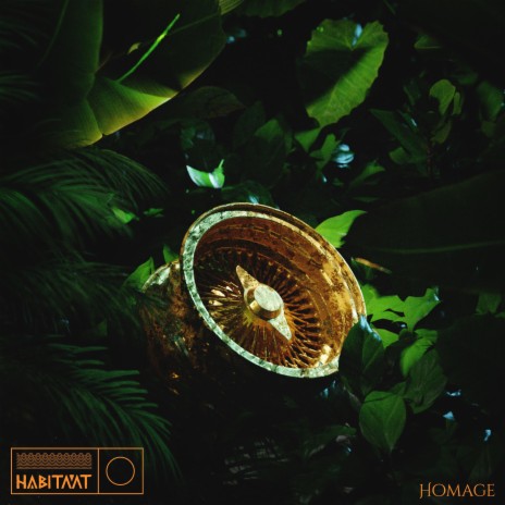 Homage | Boomplay Music