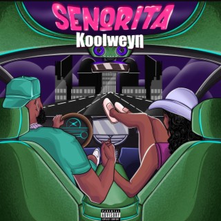 Senorita lyrics | Boomplay Music