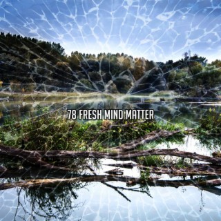 78 Fresh Mind Matter (2022 Inquiet pour rien Records)