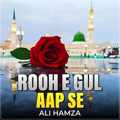 Rooh e Gul Aap Se | Boomplay Music