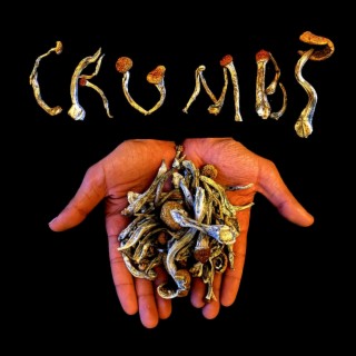 Crumbs | Boomplay Music