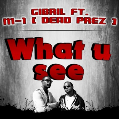 what you see ft. m1 of dead prez | Boomplay Music