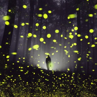 Fireflies