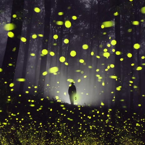 Fireflies ft. Solar Body | Boomplay Music