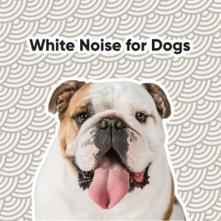 White Noise for Dogs